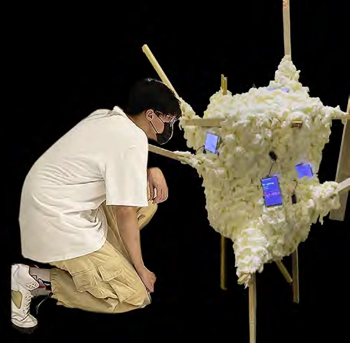 Encountering the installation